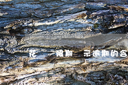 花唄寬限期顯示逾期的含義是什么？
